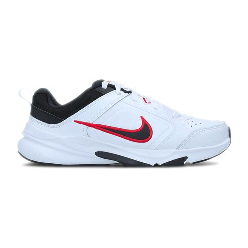 Zapato Hombre Nike Defyallday