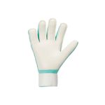Guantes-Hombre-Nike-Nk-Gk-Match---Ho23-People-Plays-