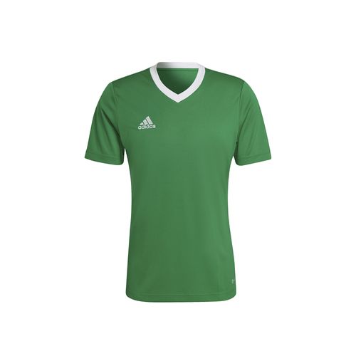 Camiseta Tee Hombre Adidas Performance Ent22 Jsy.
