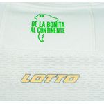 LT-AB-CTAWA2-JUG-25M_5.jpg