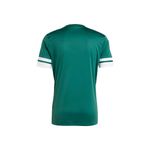 Camiseta-Tee-Hombre-Adidas-Performance-Squa25-Jsy-M-People-Plays-